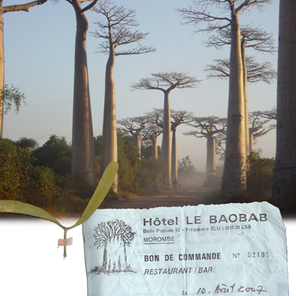 sk-regards_carnet-de-voyage_madagascar_13